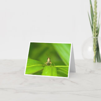 Hopper Hello Thank You Card