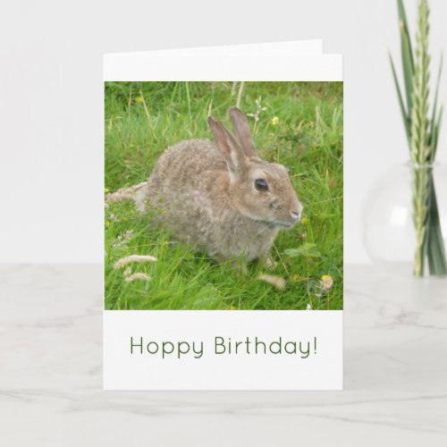 Hoppy Birthday A cute bunny rabbit birthday card