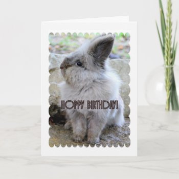 Hoppy Birthday Bunny Card by catherinesherman at Zazzle