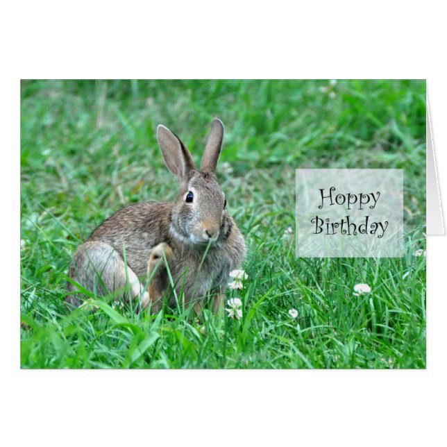 Hoppy Birthday Frameable Card (Front Horizontal)