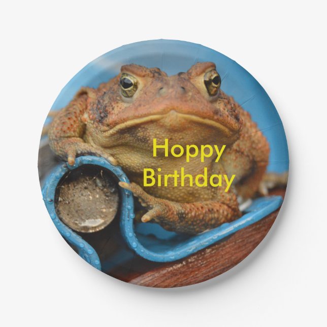 Hoppy Birthday Toad Paper Plates (Front)