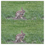 Hoppy Bunny fabric