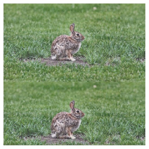 Hoppy Bunny fabric