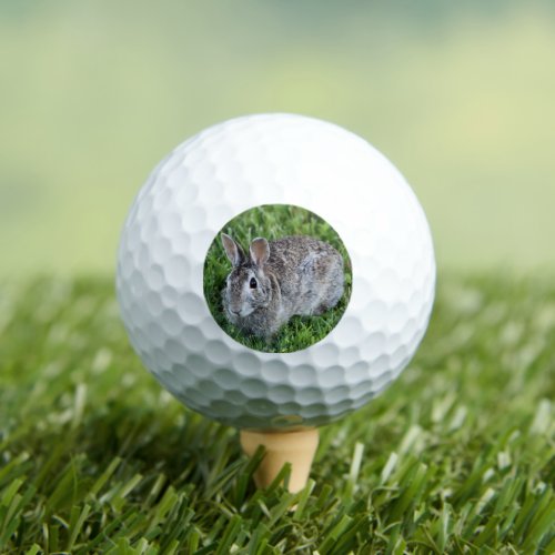 Hoppy bunny  golf balls