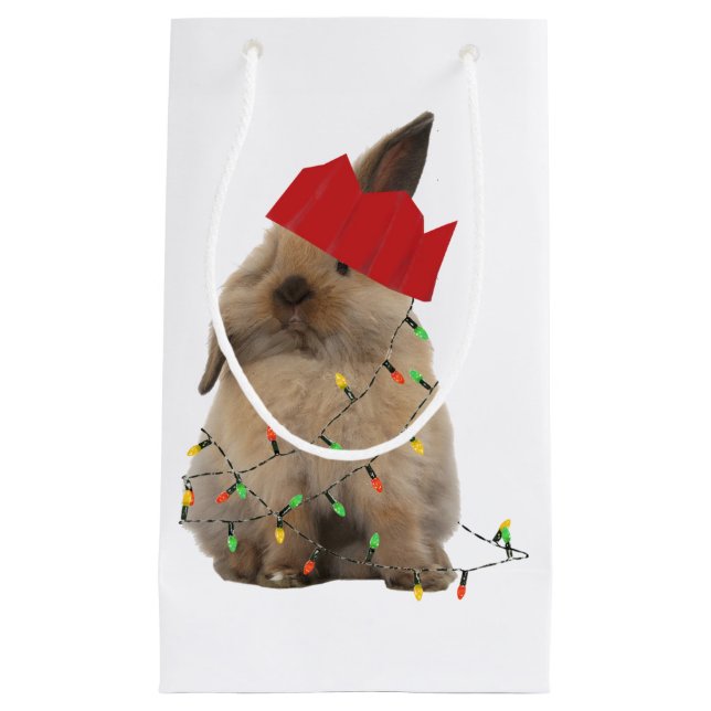 Hoppy Christmas Bunny Gift Bag (Front)