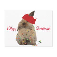 Hoppy Christmas Bunny Postcard