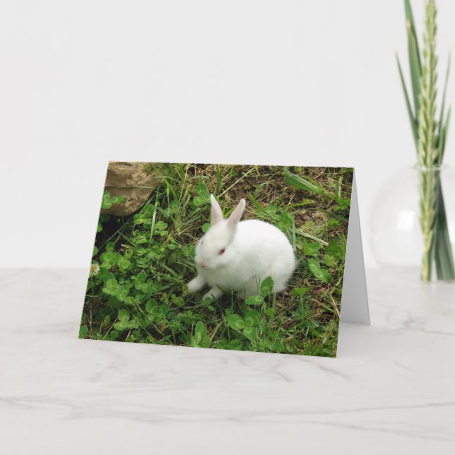 Hoppy Easter Holiday Card (Front)