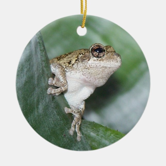 'Hoppy' Holidays! Ceramic Ornament (Front)