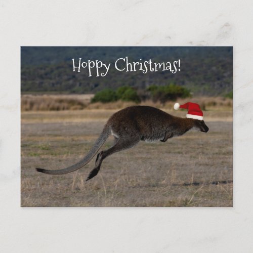 Hoppy Merry Christmas Kangaroo Red Santa Hat Postcard
