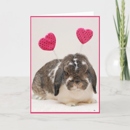 Hoppy Valentines Day Holiday Card
