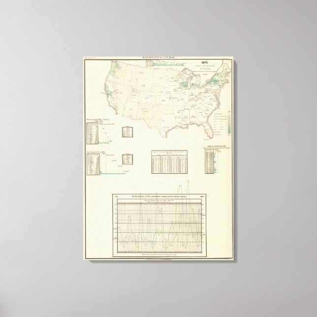 Hops Canvas Print (Front)