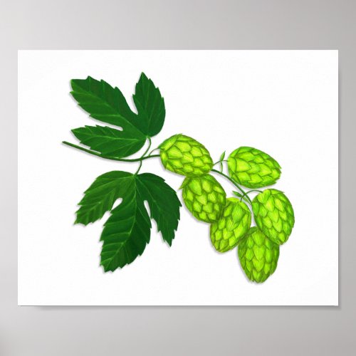 Hops Flower Botanical Art Print