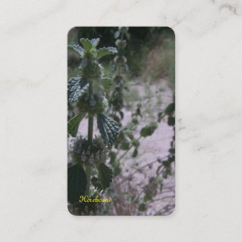 Horehound Herb Business Card by abadu44 at Zazzle