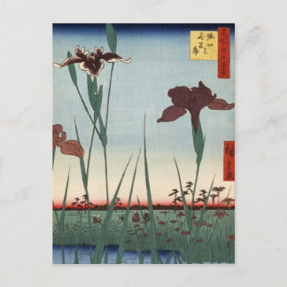 Horikiri Iris Garden (堀切の花菖蒲) Postcard