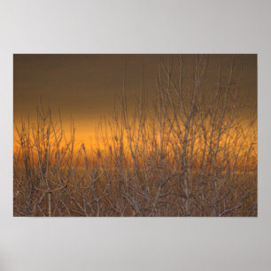 Horizon over Lake Erie Poster