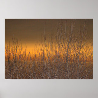 Horizon over Lake Erie Poster