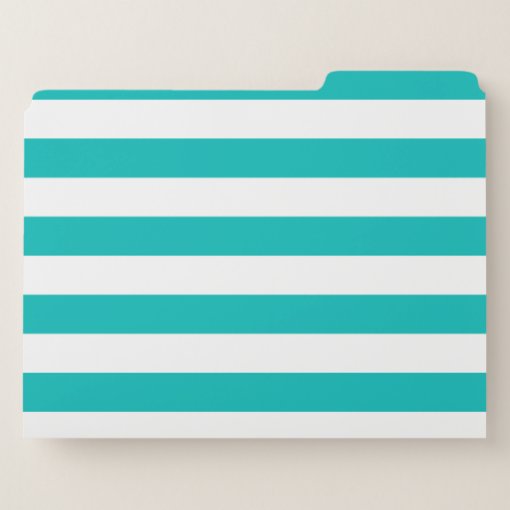 Horizontal Aqua Stripes File Folder | Zazzle