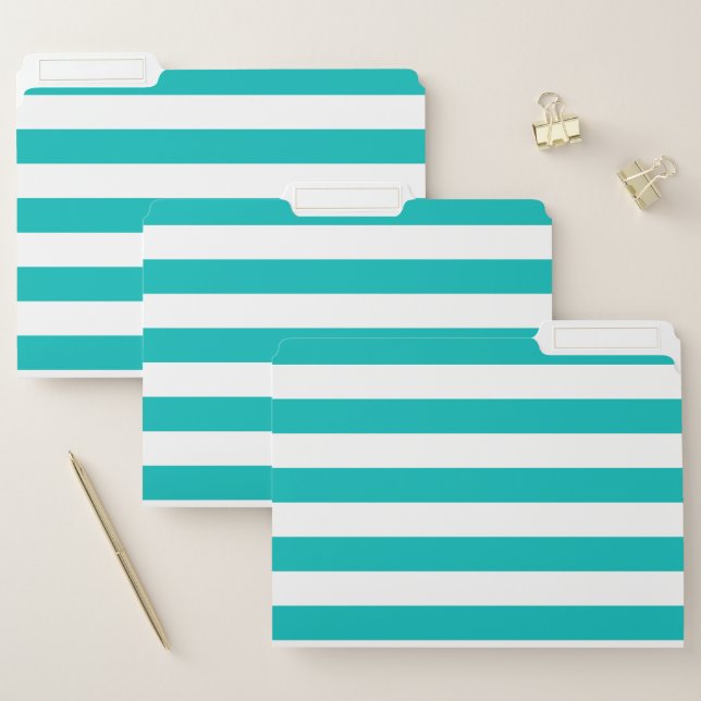Horizontal Aqua Stripes File Folder (Set)