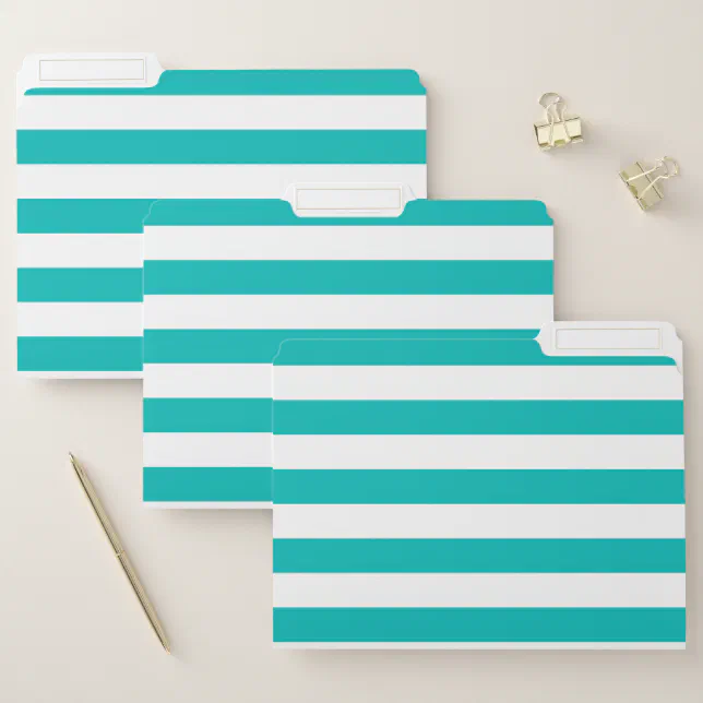 Horizontal Aqua Stripes File Folder | Zazzle