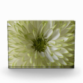 Horizontal Block Photoblock
