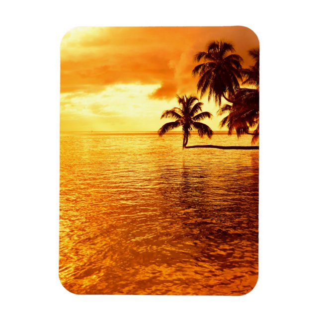 Horizontal palm tree sunset vertical magnet (Vertical)