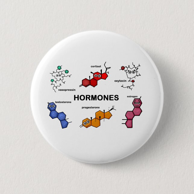 Hormones Pinback Button (Front)