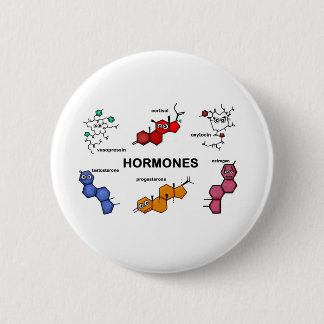 Hormones Pinback Button