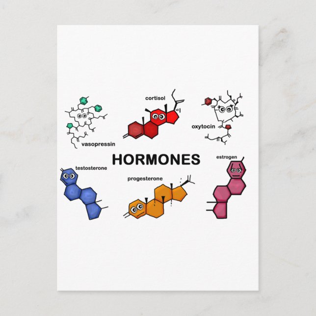Hormones Postcard (Front)