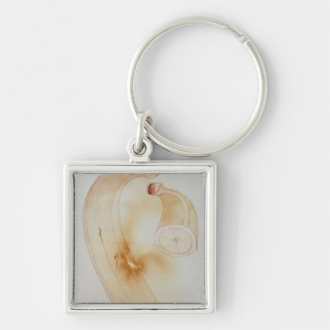Horn Plantain Keychain (Front)