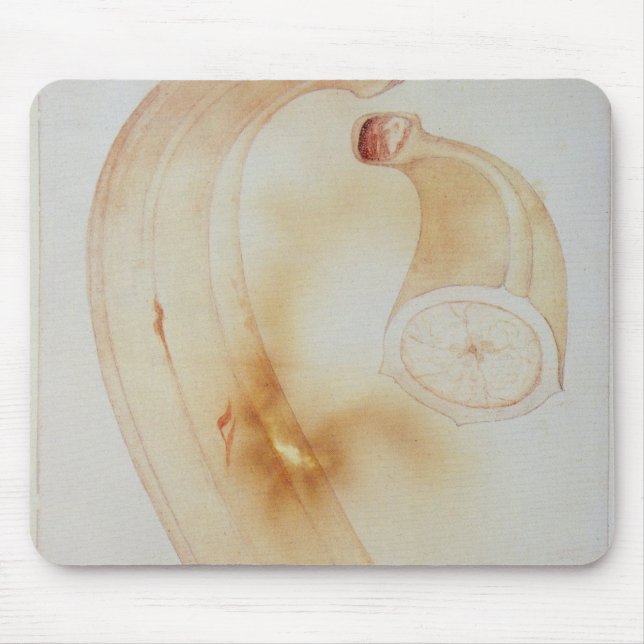 Horn Plantain Mouse Pad (Front)