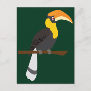 Hornbill Postcard