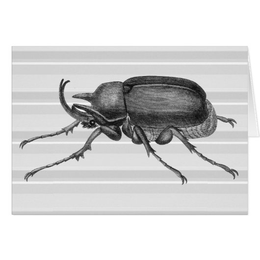 Horned Beetle from Diderot's Encylopaedia Cards (Front Horizontal)