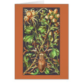 Horned Beetle in Brown (Front)