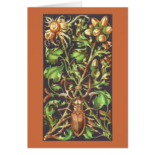 Horned Beetle in Brown Cards (Front)