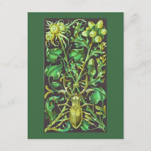Horned Beetle in Gold and Green Vintage Print Postcard