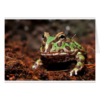 horned frog cards