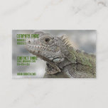Horned Iguana Business Card
