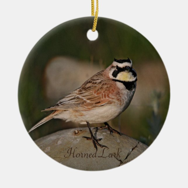 Horned Lark Bird Photography Round Ceramic Ornament (Front)