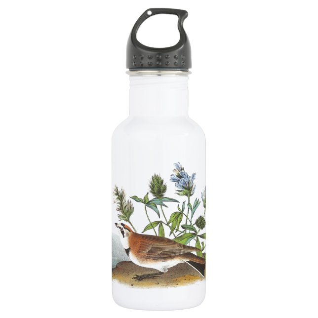 Horned Lark by Audubon Stainless Steel Water Bottle (Front)