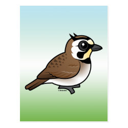 Horned Lark Postcard