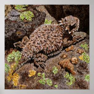 Horned Lizard Print