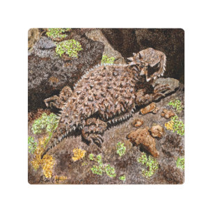 Horned Lizard Print (Metal)