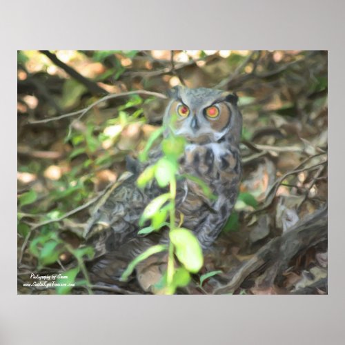 Horned Owl Oil Painting Print