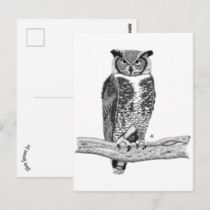 Horned Owl Postcard