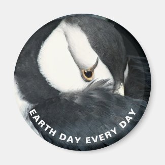 Horned Puffin Photo Earth Day Magnet