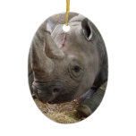 Horned Rhino Ornament
