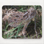 Horned Toad Mouse Pad at Zazzle