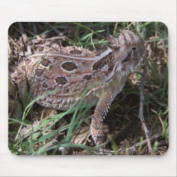 Horned Toad Mouse Pad by gabbielizzie at Zazzle