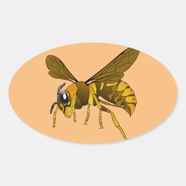 hornet wasp insect bee brown oval sticker (Front)
