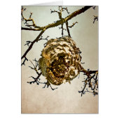 Hornet's Nest (Front)